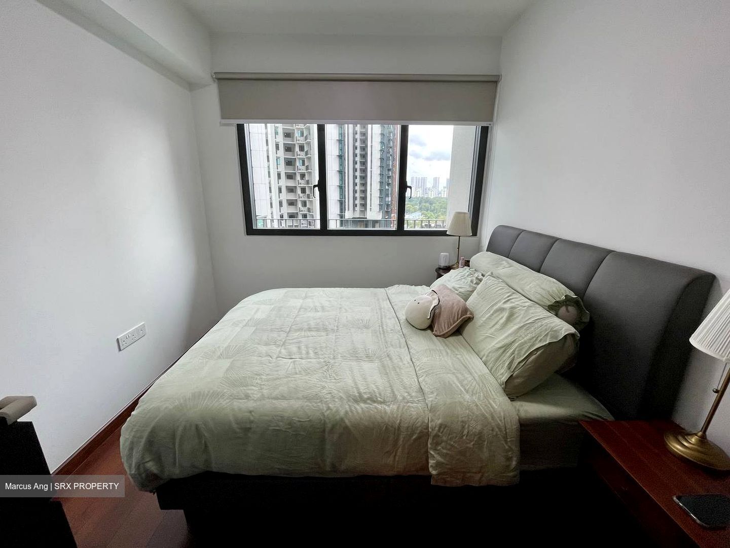 Normanton Park (D5), Apartment #438881661